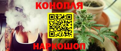 шишки Партизанск
