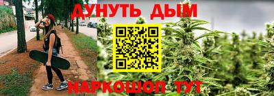 шишки Партизанск
