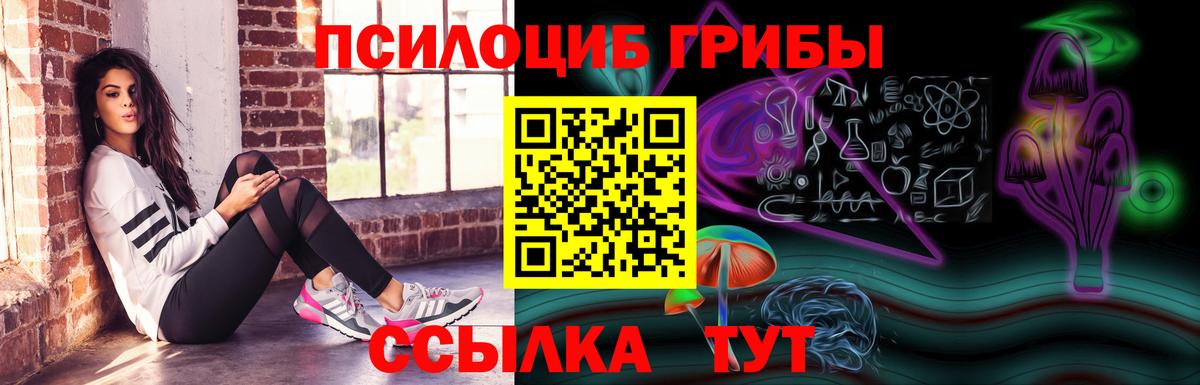 Псилоцибиновые грибы GOLDEN TEACHER  Вход с VPN  Галлюциногенные грибы Psilocybine cubensis  Буйнакск 